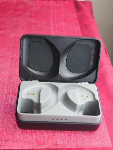 Jbl endurance peak - peak, case